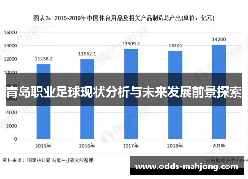 青岛职业足球现状分析与未来发展前景探索