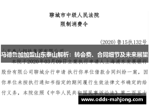 马德鲁加加盟山东泰山解析：转会费、合同细节及未来展望