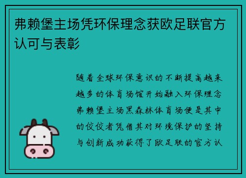 弗赖堡主场凭环保理念获欧足联官方认可与表彰